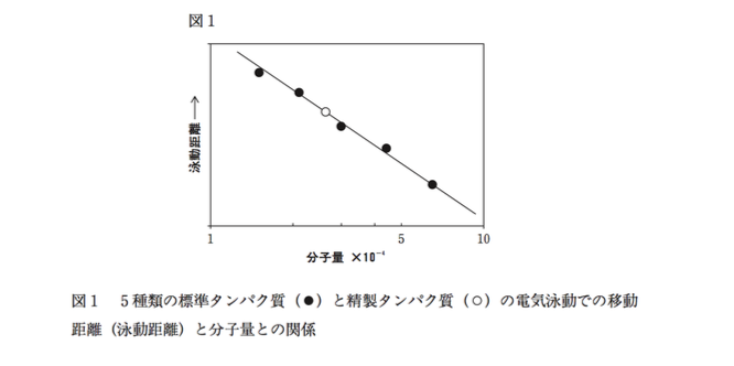 解説画像